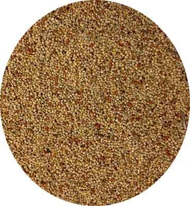 Johnston & Jeff Foreign Finch Seed sold per kg in clear bags - Picture 1 of 2