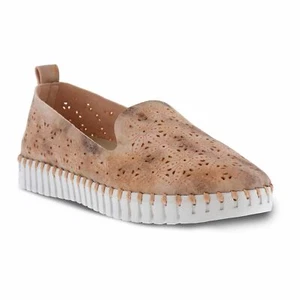 PATRIZIA GRATEUS Shoes Pink New - Picture 1 of 1