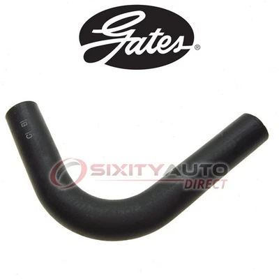 Gates Lower Radiator Coolant Hose for 1946-1948 Dodge Deluxe 3.8L L6 - up Foto 1 de 4