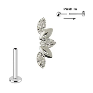 Titan Blatt Bogen Stecksystem Labret Ohr Helix Lobe Piercing Push in Pin Silber - Bild 1 von 2