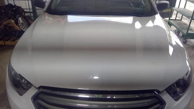 (LOCAL PICKUP ONLY) Hood Fits 13-19 TAURUS 1714440 Foto 1 de 4