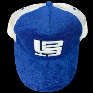 RARO De colección Y2K Nike LeBron James L23 Novato Año Terry Tela Snapback Sombrero/Gorra - Imagen 1 de 13