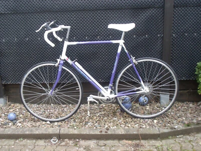 28er Rennrad mit 61er Rahmen für Große Leute ab 1,95m im Top Zustand - Bild 1 von 4