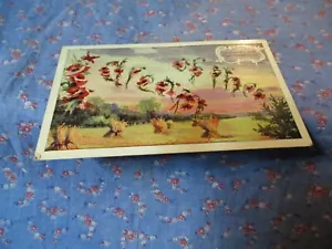 Old Postcard 1917 Goshen Ind Language of Flowers I Dream of Thee Poppy - Picture 1 of 2