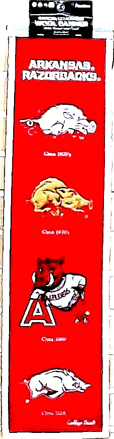 Arkansas Razorbacks 刺绣羊毛进化横幅 8 x 32 英寸 — 第 1/1 张图片