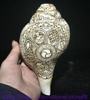 7.4" Old Tibetan Shell Carving Buddhism 8 Auspicious Symbol Conch Trumpet Horn
