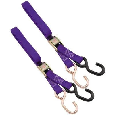 BikeMaster 1in Tiedown - Purple | 100512 - Изображение 1 из 3