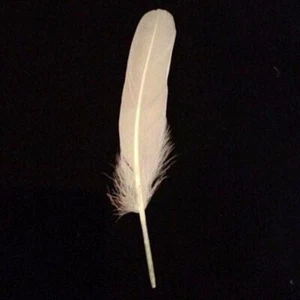 Goose Pointer Feathers 10 grams - Ivory - Bild 1 von 1