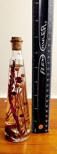 Flowers in a Corked Glass Bottle - Picture 1 of 9