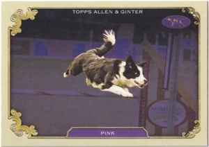 2024 Topps Allen & Ginter Stars of the Show Insert Set Singles - Bild 1 von 42