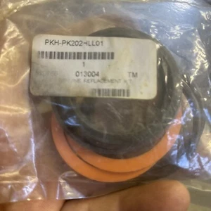 PKH-PK22-ILL01 BUNA SERIES PISTON SEAL KIT 013004 - Picture 1 of 2