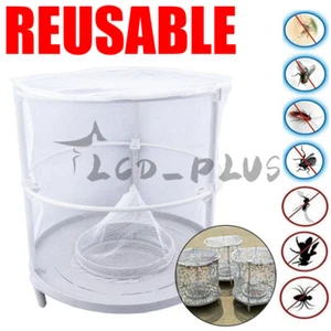 Fly Trap Ranch Reusable Catcher Killer Cage Net Pest Bug Catch Fly Catcher USA - Picture 1 of 6