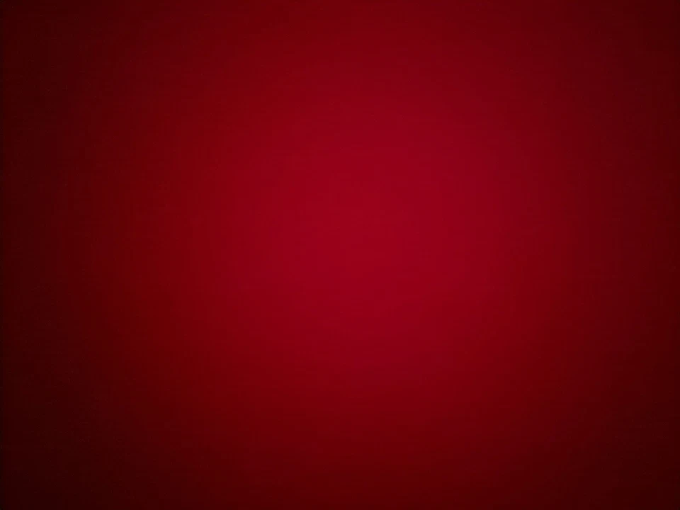 2009-2013 Audi A4 Quattro Passenger Front Seat Oem ZZKHS — 第 1/1 张图片