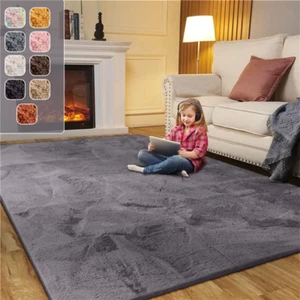 Fluffy Rugs Large Shaggy Rug Bedroom Living Room Anti Slip Soft Carpet Floor Mat - Picture 1 of 56