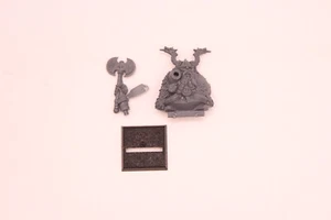 Dwarf Thane [Battle for Skull Pass] Dwarves [Warhammer] - Bild 1 von 1