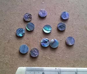 12 PAUA  NEW ZEALAND ABALONE  Luthier Dots  Inlay Fret  Side Marker - All Sizes - Picture 1 of 19