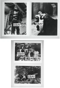 KING KONG LIVES 1986 VINTAGE MOVIE PHOTO LOT #1 (4) BRIAN KERWIN SPFX ORIGINALS? - Picture 1 of 1