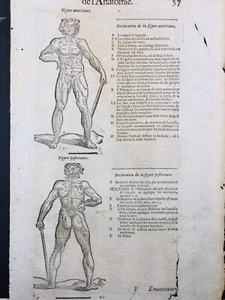 Anatomia 1614 Medicina Chirurgia Medico Ambroise Paré Rara Incisione Su Legno - Foto 1 di 5
