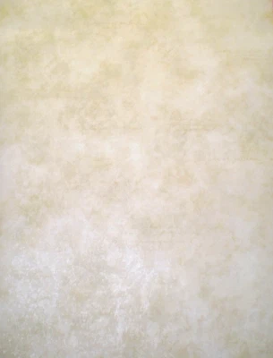 Papel pintado satinado toscano beige cremoso acabado sintético de Brewster 72768  Foto 1 de 4