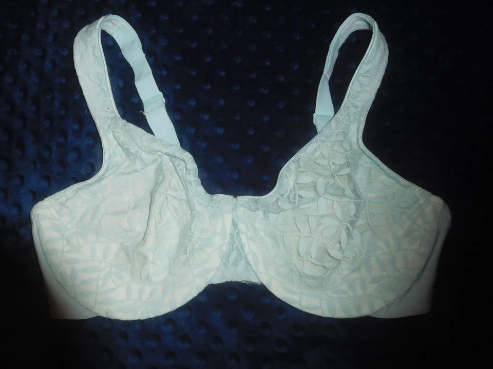 EUC! Olga Sheer Leaves Light Green Lace Minimizer Bra Size 40C Style 35519 - Image 1 of 3