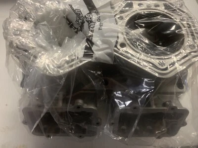 Ski-Doo 800R ETEC Complete Top End Rebuild Kit Cylinder Pistons gasket overstock - Image 1 of 4
