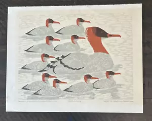 Stampa xilografia Dale De Armond riproduzione Merganser con anatroccoli difetto Juneau - Foto 1 di 10
