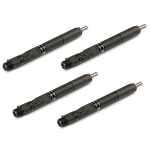 4PCS Fuel Injector EJBR03701D 33801-4X810 33801-4X800 For Kia Sedona Carnival - Picture 1 of 10