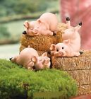 NEW SET OF 3 PORKER PIG TRIO FIGURINES SNOOZING TUMBLING BASKING NEW IN BOX