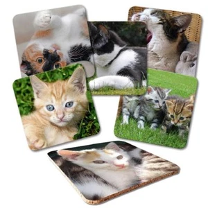 Sottobicchieri Set 6 Pezzi 'Gatti' con Retro in Sughero in Trasparente Confezione Regalo Gatto - Foto 1 di 3