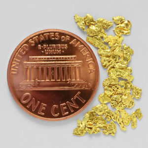 0.7827 Gram Alaska Natural Gold Nuggets --- (#76348-14) - Alaskan Gold Nuggets