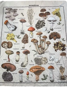 Quotes Mushroom Tapestry Wall Decor Mycology Champignon Identification Chart - Picture 1 of 8