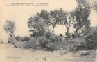 CPA 17 LE CHATEAU LE MAIL ILE D