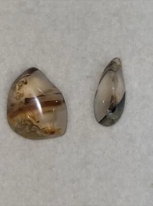 2  Montana Agate Polished Slabs / Beautiful Stones From Moms Estate: 50-60’s - Picture 1 of 6