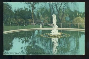 Australien Adelaide Botanischer Garten VSM Serie Postkarte - Bild 1 von 1