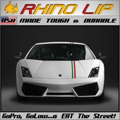 LOTUS Elise ~ GT1 340R Turbo ~ Esprit Elite GT спойлер разветвитель резиновый подбородок кромки отделка - Изображение 1 из 4