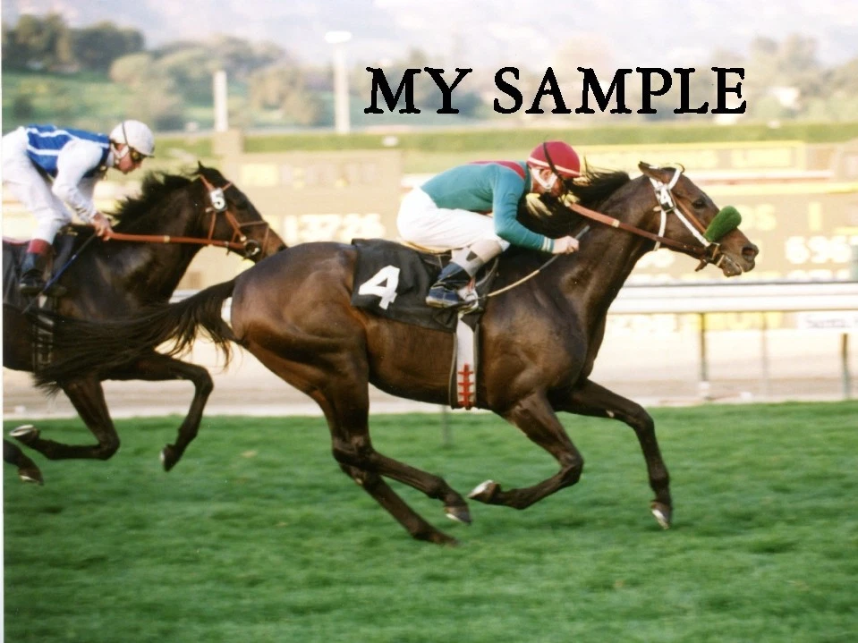 ESTRELLA DE COZZENE 1993 SAN MARCOS GANADOR DE DISCAPACIDAD SANTA ANITA FOTO 8 X 10 #3 Foto 1 de 1