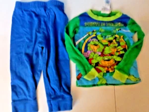 Teenage Mutant Ninja Turtle Pajama Set ~ 2T ~ Sleepwear Outfit - Picture 1 of 4