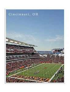 Cincinnati Bengals Poster Stadium Art Print Football Gift 12x16" - Picture 1 of 1
