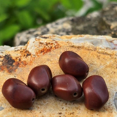 5 cuentas de vidrio prensado alemán de colección 14 mm | Pepita marrón chocolate mate | Años 50 Foto 1 de 4