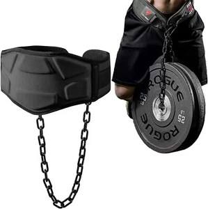 Cinturón de inmersión de alta resistencia con cadena - Cinturón de tracción ponderado para Strength Pro - Imagen 1 de 6