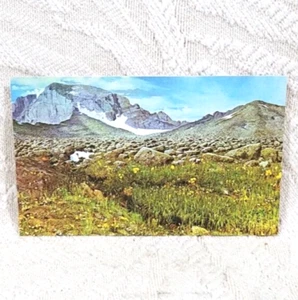 DE COLECCIÓN MUSEO DENVER HISTORIA NATURAL POSTAL SIN USAR EXPOSICIÓN ALPIN - Imagen 1 de 6