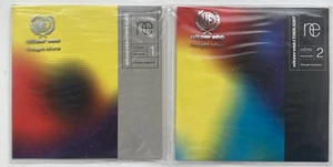 NITZER EBB I Thought CD 1 and 2 complete set Single EP Rare Excellent Condition - Picture 1 of 11