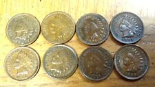 8 Coin Lot of Indian Head Cents
