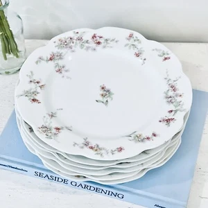 6 Haviland Co. Limoges France Plates SCHRADER China Pink Floral Vtg Shabby Chic - Picture 1 of 7