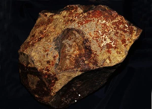 HI-RES 8X10 PHOTO OF A IMAGE OF JESUS CHRIST THAT WAS FOUND IN A ROADSIDE ROCK - Picture 1 of 1
