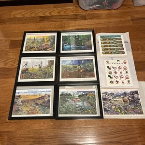 Lot Of 9 Nature  US Stamps Sheets USPS,,NATURE-ANIMALS -AQUARIUM 6 FRAMED - Picture 1 of 10