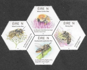 IRELAND NATIVE BEES SET MNH INSECTS 2024 - Picture 1 of 1