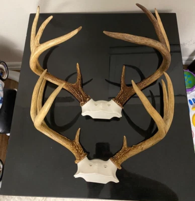 Kit de montaje de cuerno esparcidor de cobertizo Mountain Mike's Reproductions color natural Foto 1 de 4