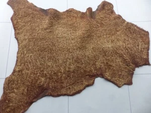 Piel de oveja piel de oveja piel punta crema cacao cabello rizado con espalda bombardero marrón - Imagen 1 de 7