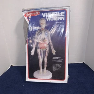 Vintage 40156 Skilcraft VISIBLE WOMAN Anatomy Model Human Skeletal Sealed New - Picture 1 of 5